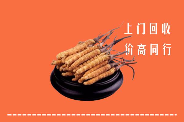 高价求购：西安市临潼区回收散虫草