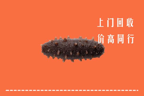 西安市临潼区回收海参