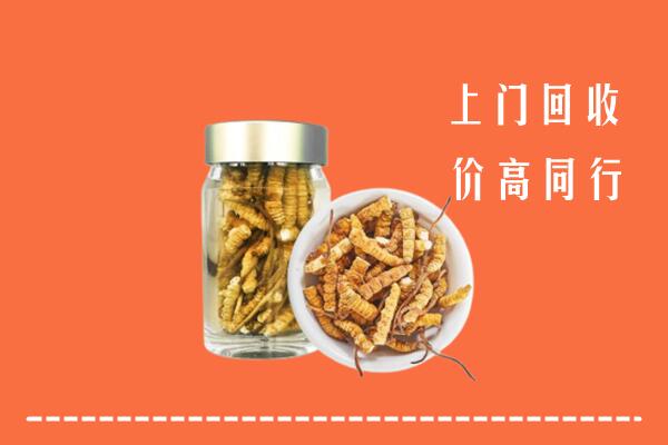 西安市临潼区回收冬虫夏草